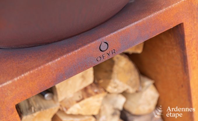 Ch�teau � Marche-en-Famenne pour 15 personnes en Ardenne