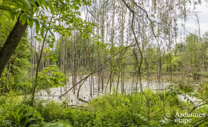 Ch�teau � Marche-en-Famenne pour 15 personnes en Ardenne