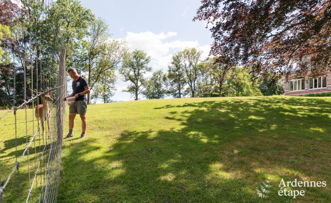 Ch�teau � Marche-en-Famenne pour 15 personnes en Ardenne