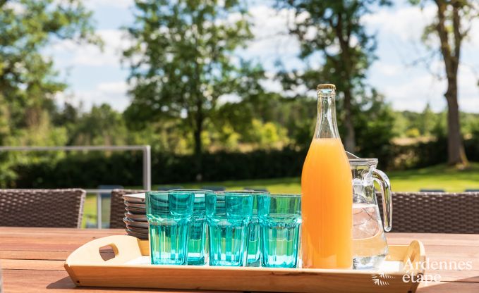 Ch�teau � Marche-en-Famenne pour 15 personnes en Ardenne