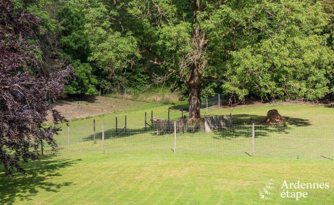 Ch�teau � Marche-en-Famenne pour 15 personnes en Ardenne