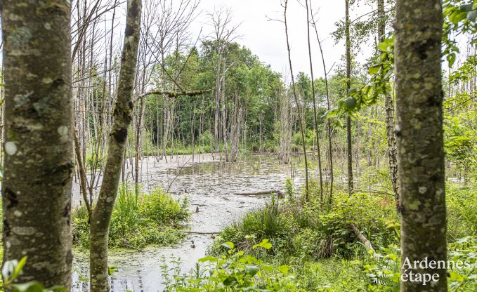 Ch�teau � Marche-en-Famenne pour 15 personnes en Ardenne