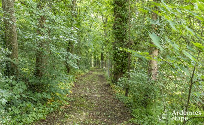 Ch�teau � Marche-en-Famenne pour 15 personnes en Ardenne