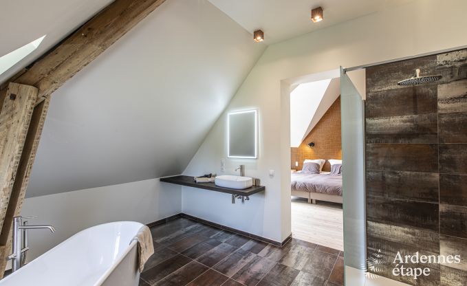 Ch�teau � Marche-en-Famenne pour 15 personnes en Ardenne