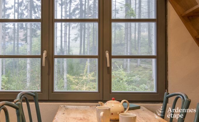 Maison de vacances  Marche-en-Famenne pour 2/4 personnes en Ardenne
