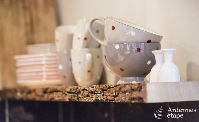 Maison de vacances  Marche-en-Famenne pour 2/4 personnes en Ardenne