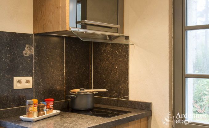 Maison de vacances  Marche-en-Famenne pour 2/4 personnes en Ardenne