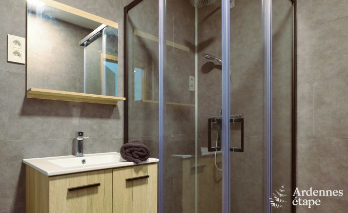 Villa  Marche-en-Famenne pour 28 personnes avec 11 chambres, piscine intrieure et sauna