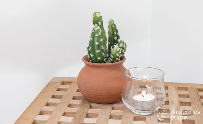 Maison de vacances � Marche-en-famenne pour 6 personnes en Ardenne