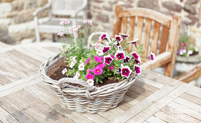 Maison de vacances  Marchin pour 8 personnes en Ardenne