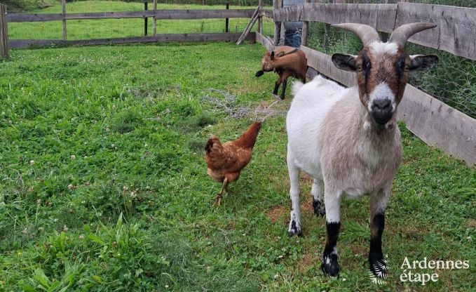 Maison de vacances  Marchin pour 6 personnes en Ardenne