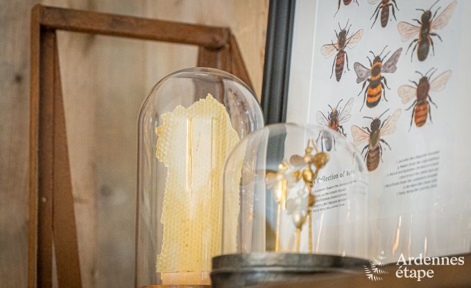 Maison de vacances  Marchin pour 4/5 personnes en Ardenne