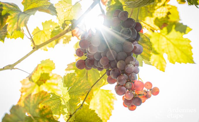 Maison de vacances  Marchin pour 4/5 personnes en Ardenne