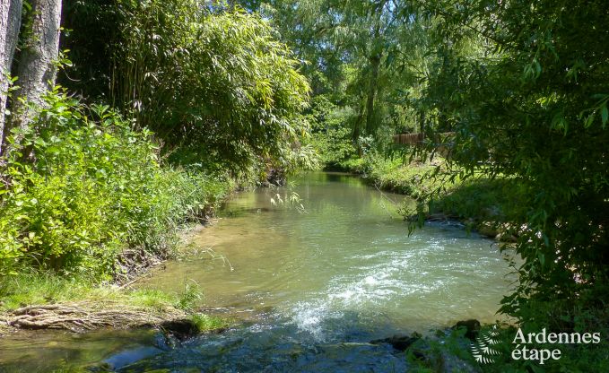 Maison de vacances pour 41 personnes avec 22 chambres au bord de l'eau en Ardenne, prs de Maredsous