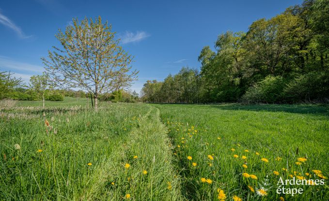 Grande maison de vacances  Maredsous pour 18 personnes avec 6 chambres, 5 salles de bains, four  pizza et grand jardin priv prs de Dinant et Mettet