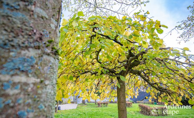 Maison de vacances � Maredsous pour 14 personnes en Ardenne