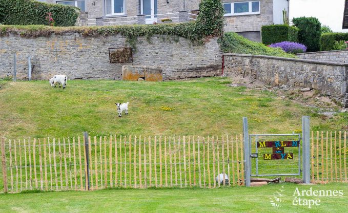 Maison de vacances  Maredsous pour 5 personnes en Ardenne