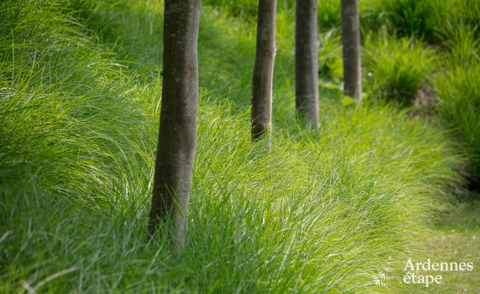 Villa de Luxe � Maredsous pour 21 personnes en Ardenne