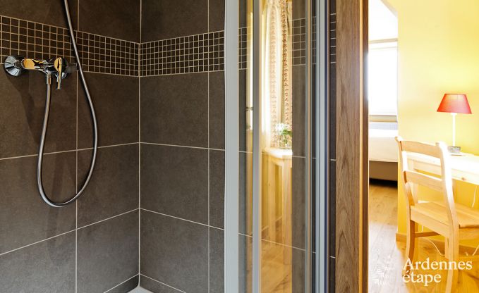 Villa de Luxe  Maredsous pour 16 personnes en Ardenne