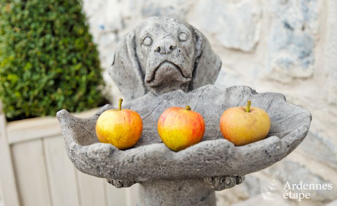 Villa de Luxe  Maredsous pour 16 personnes en Ardenne