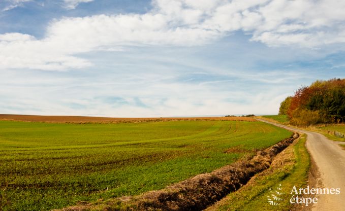 Villa de Luxe � Maredsous pour 16 personnes en Ardenne