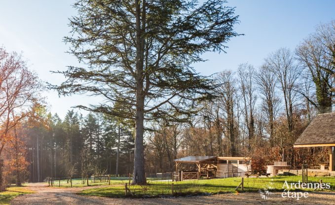 Chalet  Maredsous pour 8 personnes en Ardenne