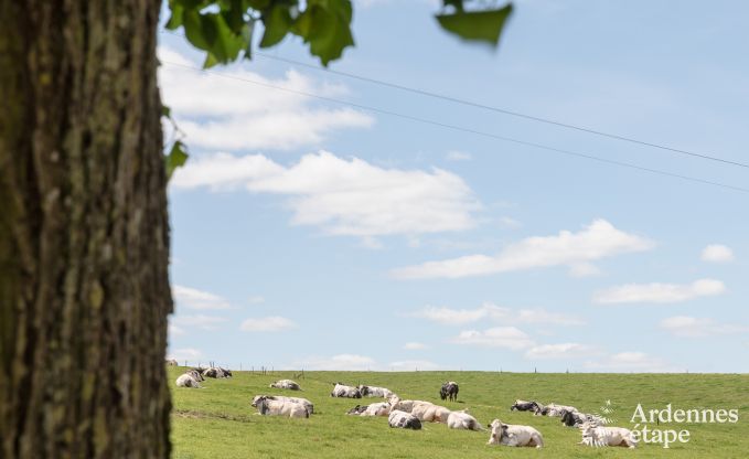 Maison de vacances � Maredsous pour 13 personnes en Ardenne