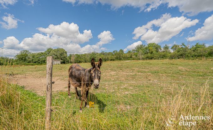 Maison de vacances � Merlemont pour 14/15 personnes en Ardenne