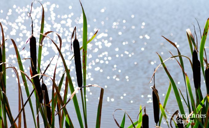 Maison de vacances � Modave pour 20/22 personnes en Ardenne