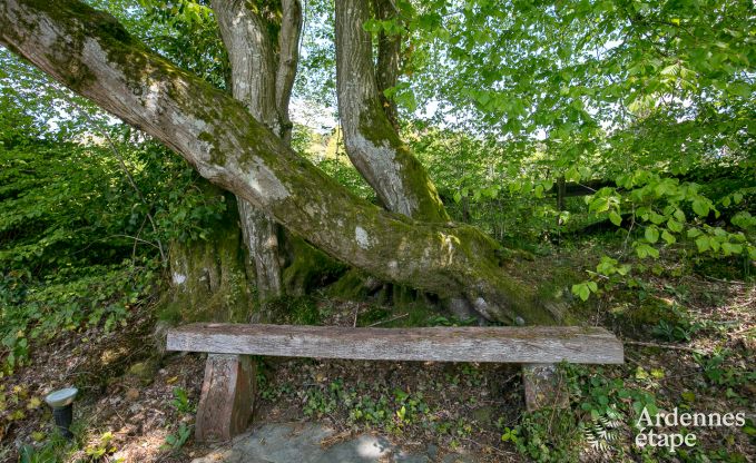 Chalet romantique au bord de l'eau pour 2 personnes � Momignies