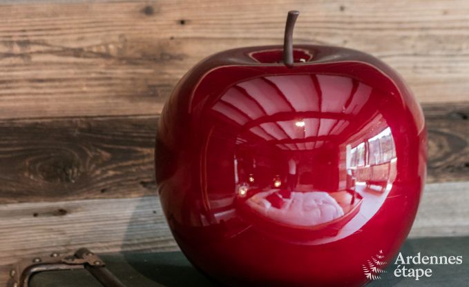 Chalet romantique au bord de l'eau pour 2 personnes  Momignies