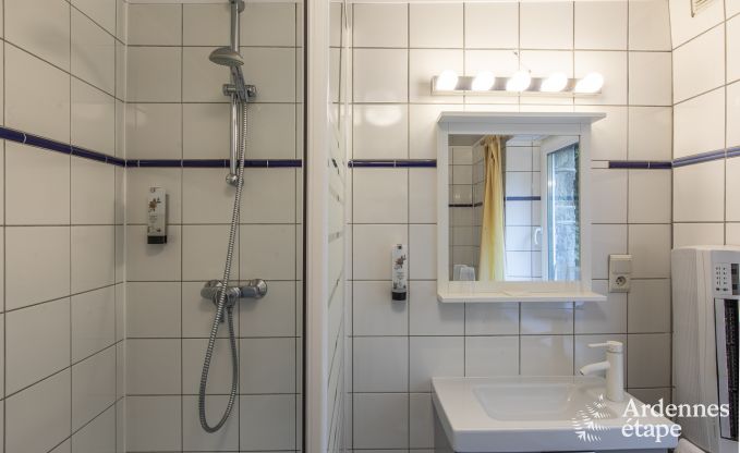 Escapade en pleine nature en Ardenne : Villa spacieuse � Houffalize (Nadrin) pour 28 personnes avec nombreux �quipements et services, animaux bienvenus