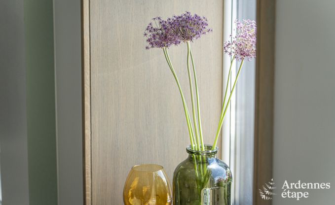 Maison de vacances � Namur pour 8 personnes avec piscine