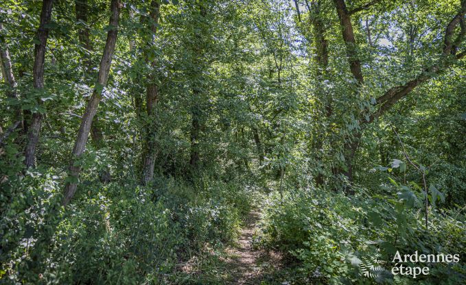 Maison de vacances � Namur pour 8 personnes avec piscine