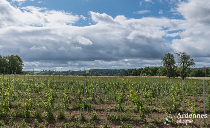 Maison de vacances � Nandrin pour 8 personnes en Ardenne