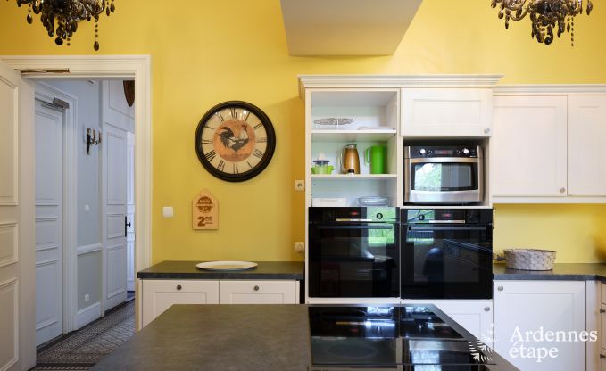 Magnifique chteau rnov avec piscine  Nassogne, Ardenne