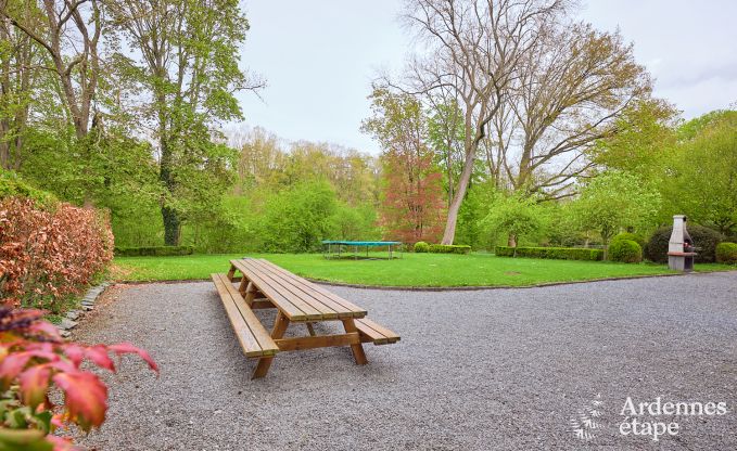 Magnifique chteau rnov avec piscine  Nassogne, Ardenne