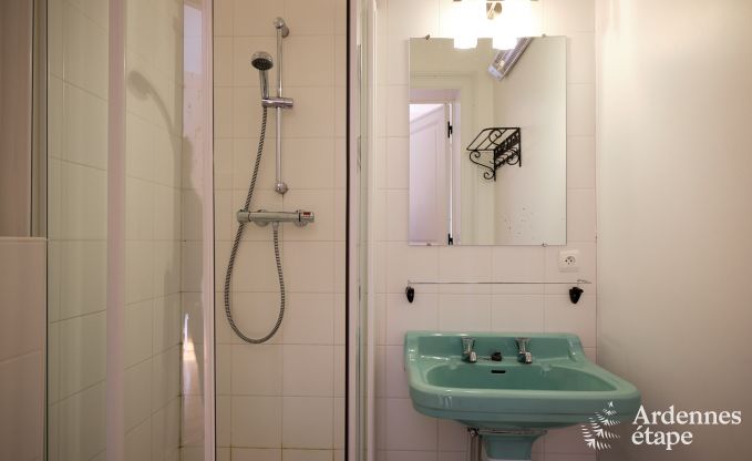 Magnifique chteau rnov avec piscine  Nassogne, Ardenne