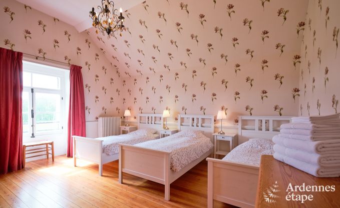 Magnifique ch�teau r�nov� avec piscine � Nassogne, Ardenne