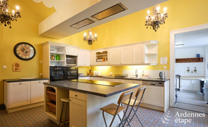 Magnifique chteau rnov avec piscine  Nassogne, Ardenne