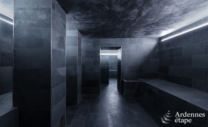 Villa de luxe � Neufch�teau pour 20 personnes avec grand espace bien-�tre