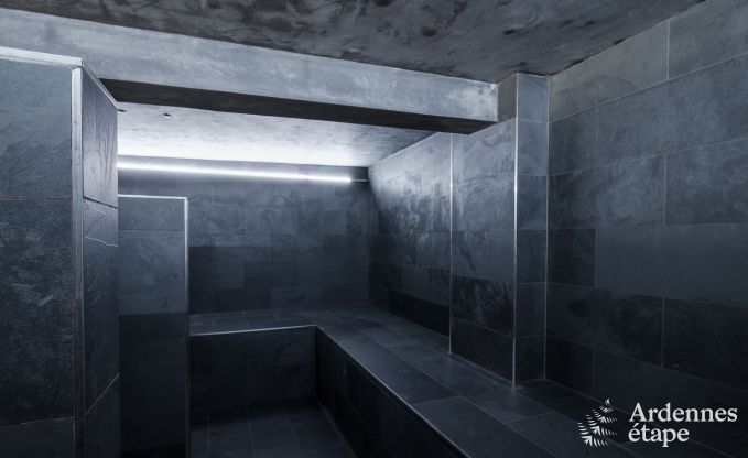 Villa de luxe � Neufch�teau pour 20 personnes avec grand espace bien-�tre