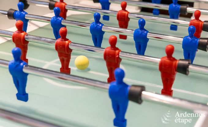 Villa de luxe � Neufch�teau pour 20 personnes avec grand espace bien-�tre