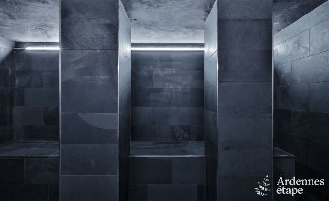 Villa de luxe � Neufch�teau pour 20 personnes avec grand espace bien-�tre