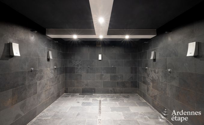 Villa de luxe � Neufch�teau pour 20 personnes avec grand espace bien-�tre