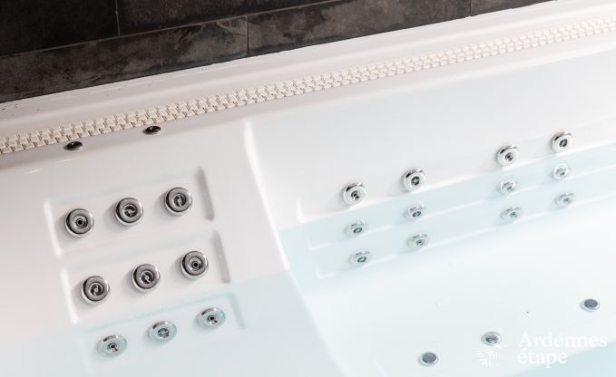 Villa de luxe � Neufch�teau pour 20 personnes avec grand espace bien-�tre