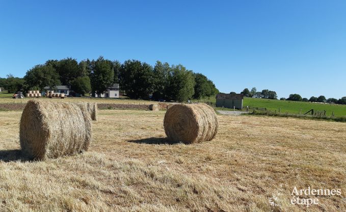 Maison de vacances confortable � Neufch�teau, id�ale pour 15 personnes, avec jacuzzi, sauna et �quipements de jeu