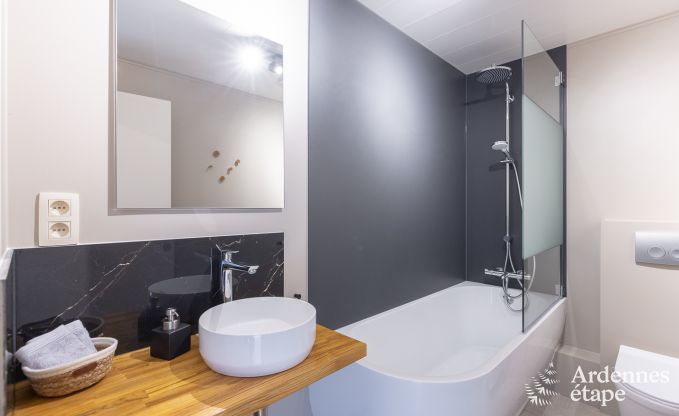 Gite de charme  Neufchateau pour 9 personnes en Ardenne