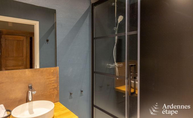 Gite de charme  Neufchateau pour 9 personnes en Ardenne