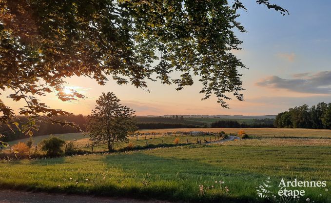 Maison de vacances confortable � Neufch�teau, id�ale pour 15 personnes, avec jacuzzi, sauna et �quipements de jeu